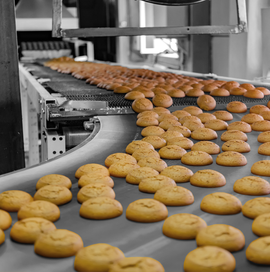 ICS Industrial Steam Cleaning