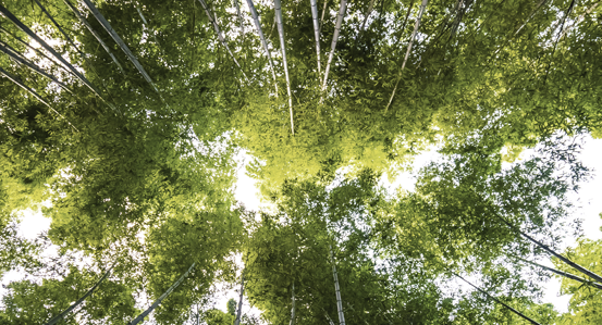 Industrial Cleaning Ozone ICS Environment 2